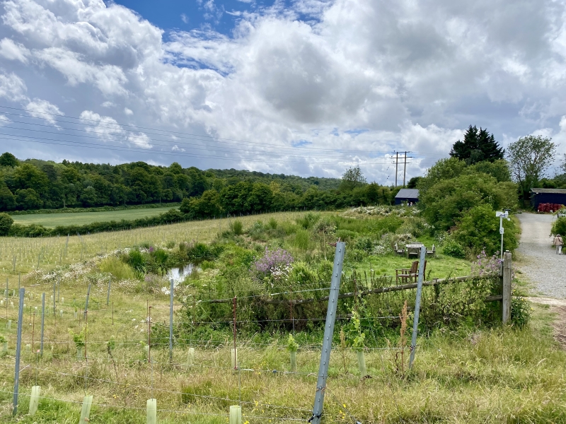 New Barns Farm